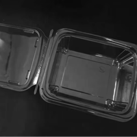 Emballage de boîte à clapet en plastique végétal transparent recyclable personnalisé Récipient à salade pour animaux de compagnie avec couvercle Récipient à fruits en plastique