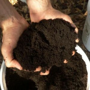Engrais organique de lombric pour l'agriculture, les cultures agricoles, les jardins, les fleurs, les légumes, les arbres fruitiers, approvisionnement en vrac - Product Image 4