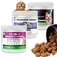 Marque privée Yuan pour animaux de compagnie Complément alimentaire pour animaux de compagnie Fournisseurs de friandises pour chiens 120 Friandises digestives probiotiques à mâcher doux pour chiens