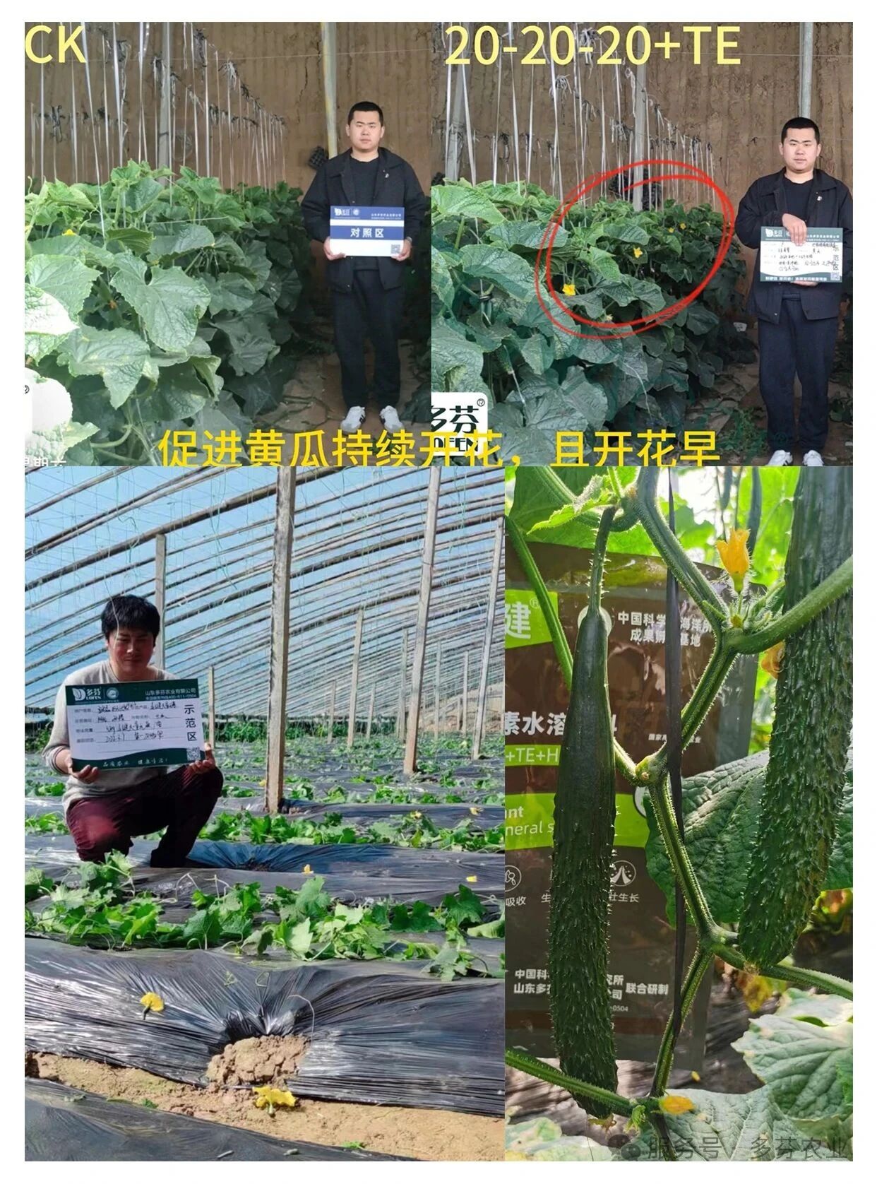 Wholesale NPK 20-20-20+TE Water Soluble Fertilizer Powder image 4