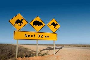 Panneau de signalisation routière réfléchissant en nid d'abeille <span class=keywords><strong>pour</strong></span> passage de faune, <span class=keywords><strong>plaque</strong></span> d'avertissement anti-poussière en aluminium pré-perforée <span class=keywords><strong>pour</strong></span> animaux sauvages, utilisation extérieure - Product Image 4