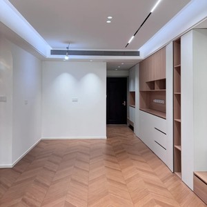 Modern Minimalist Wood Living Room Suite Integrated <strong>Design</strong> Storage Cabinet Walk-In <strong>Closet</strong> Shoe Cabinet. Eco-Friendly - Product Image 6