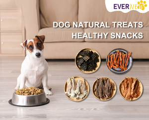 Hữu cơ không khí khô tai thỏ với tóc dài thịt chó nhai xử lý giàu protein và dinh dưỡng - Product Image 4