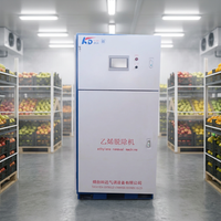 Dispositif d'adsorption de gaz éthylène pour l'inhibition de la maturation des fruits en entrepôt
