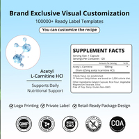 Capsules d'acétyl-L-carnitine OEM, sans OGM, sans gluten, sans soja, complément alimentaire pour l'exercice, l'énergie cellulaire du cerveau et le métabolisme