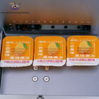Codeur thermique à jet d'encre compact IPS-8DK127 de 12,7 mm pour l'impression de dates, de lots, de codes-barres et de codes QR