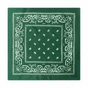 Bandanas Personalizadas con Estampado, Conjuntos a Juego para Perros y Gatos, Ideales para Paseos, Salidas al Parque y Diversión - Product Image 2