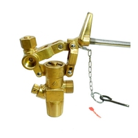 Accessoires pneumatiques de valve de cylindre pour la structure de contrôle de bas prix d'extincteurs de CO2