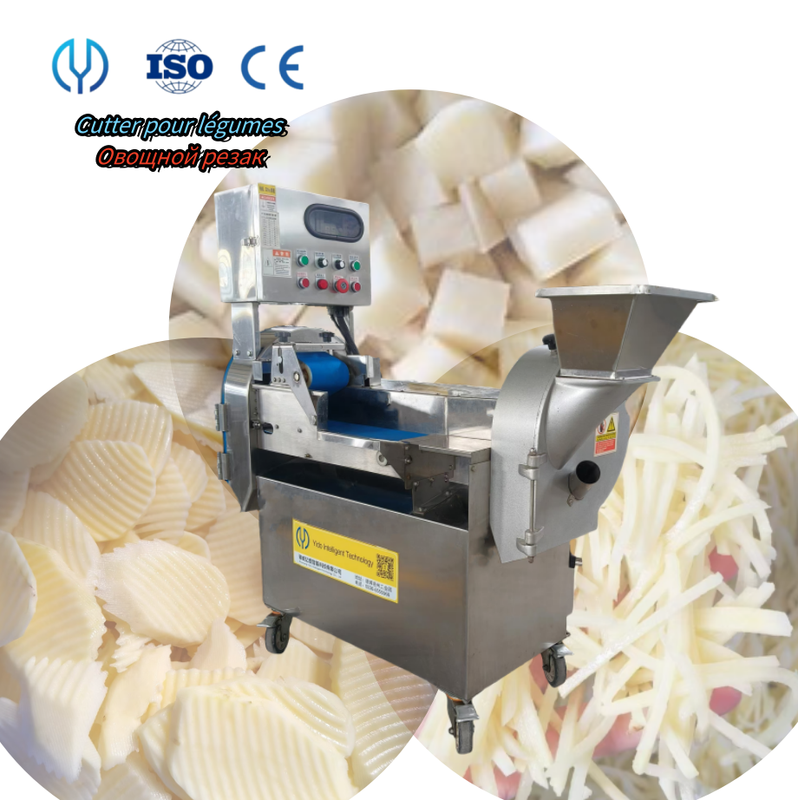 Commercial Vegetable Bubble Washer Vegetable Lettuce
