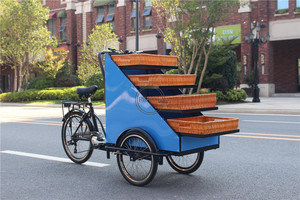 RL-T03A tricicli elettrici <span class=keywords><strong>bicicletta</strong></span> <span class=keywords><strong>3</strong></span> <span class=keywords><strong>ruote</strong></span> adulto frutta risciò Vending Bike triciclo elettrico - Product Image 2