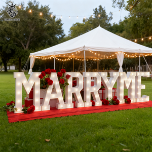 Decorazioni per Feste, Insegna LED RGB 'MARRY ME' Grande 3-4 Piedi, Lettere Luminose per Proposte di Matrimonio e Decorazioni Nuziali - Product Image 1