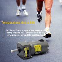 Moteur à engrenages DC 30W/40W/80W/200W, réducteur DC12V/24V, marche avant/arrière, régulation de vitesse constante, montage vertical, efficacité IE1