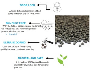 חול לחתולים אמריקאי, מתאים לחתולים וגורים, ללא אבק - Product Image 4