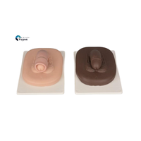 Modèle d'enseignement médical Modèle réaliste de prépuce, simulateur de formation chirurgicale pour la circoncision pour la pratique de l'urologie