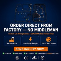 Kabel Harness Mobil Langsung dari Pabrik OEM ODM Kabel Unit Kontrol Mesin Bodi