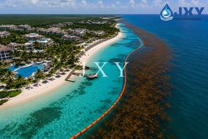 Barriera/boom di Sargassum per Proteggere un'Area da Piante Acquatiche e Detriti che Altrimenti Avrebbero Inquinato le Spiagge - Product Image 5