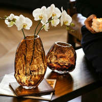 Vase en verre transparent irrégulier haut de gamme, vase décoratif de bureau pour salon, vase transparent pour fleurs hydroponiques
