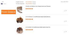 Plumas naturelles en gros Reeves plume de faisan petit motif brut pour l'artisanat bricolage montage de mouches à la main - Product Image 5