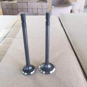 D4Ea d4EB D3EA pièces de moteur soupapes de moteur utilisées pour <span class=keywords><strong>Hyundai</strong></span> <span class=keywords><strong>ACCENT</strong></span> TUCSON 2.0 <span class=keywords><strong>CRDi</strong></span> 4x4 - Product Image 4