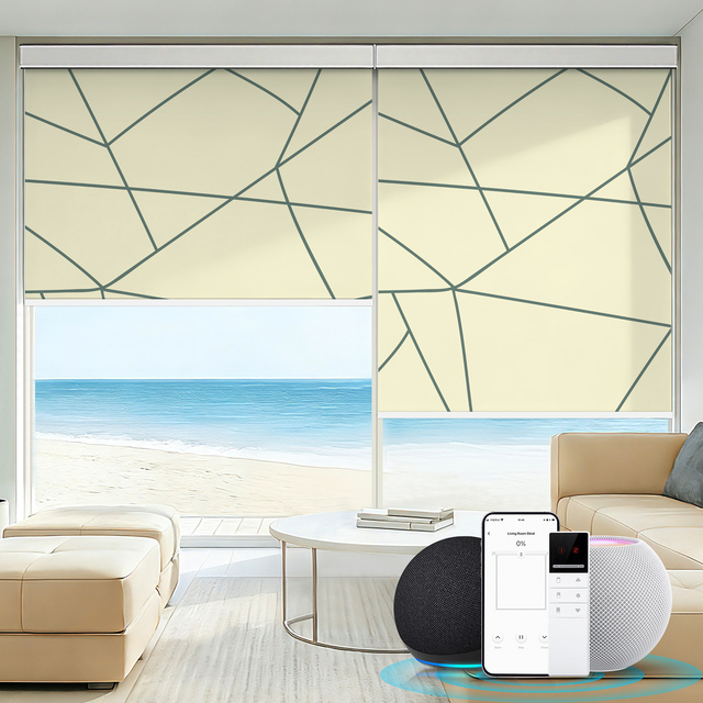 ZSTARR Remote Control Electric Motorized Roller Blinds Motor Work with Homekit Alexa Google Home Solar Panel for Home Windows