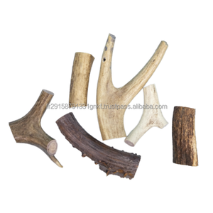 Bulk Sale of Whole Red Deer Elk Antlers Naturally Shed Animal Extract Including Cattle Gallstones for Food Supplement - Product Image 3