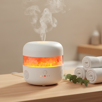 Diffuseur d'arômes en pierre de sel de l'Himalaya avec veilleuse décorative, diffuseur électrique à brume, diffuseur ultrasonique d'huiles essentielles