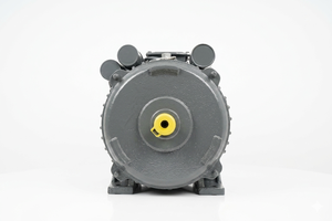 มอเตอร์เหนี่ยวนำเฟสเดียว BI-3-SPL-CI 5 แรงม้า 3.7 กิโลวัตต์ 210-230 โวลต์ 1440 รอบต่อนาที TEFC CSCR ฐานเหล็กหล่อ - Product Image 3