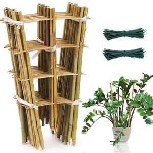 Piquets de jardin en bambou en gros – Supports durables en bambou pour vignobles et agriculture de tomates - Product Image 1