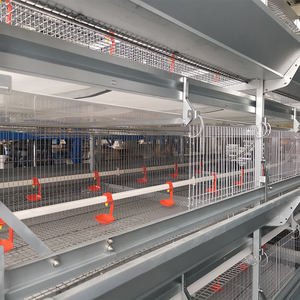 Broiler için otomatik Broiler kafes sistemi uzay tasarrufu kanatlı çiftlik yapı kafes sistemi - Product Image 6