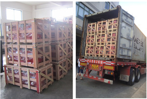 <span class=keywords><strong>Motozappa</strong></span> agricola coltivatore rotativo 3 punto 20-30hp trattorino Mini CE PTO Rototiller - Product Image 6