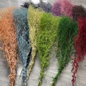 Mini Gipsofila Elegans Stabilizzata Velo di Sposa Essiccata Decorazione per Eventi per Composizioni Festa della Mamma e Natale - Product Image 2