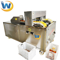Machine de traitement des olives automatisée Machine de dénoyautage des olives en acier inoxydable à haute efficacité à vendre