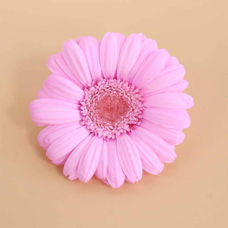 4-5cm Pink