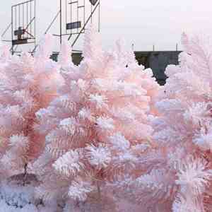 Sapin de Noël artificiel rose en PVC de haute qualité avec effet floqué, résistant aux flammes, pour la décoration intérieure - Product Image 2