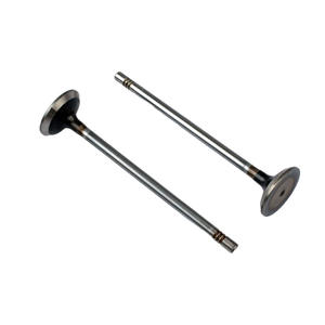 निकास वाल्व ऑटो स्पेयर पार्ट्स दैनिक 2.3 इंजन समय नियंत्रण आउटलेट वाल्व के लिए 5801889257/504378070 - Product Image 1