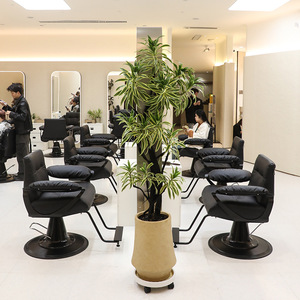 Gold Silver Black Professional Barber <b>Chair</b> Heavy Duty 200KG Hair Salon <b>Chair</b> with Height Adjustable Feature for Baber Shop - Product Image 2