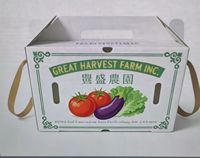 Boîte en plastique ondulé PP écologique, recyclable, réutilisable et pliable pour l'emballage de légumes, fruits, graines, œufs, viande, citrouilles, piments