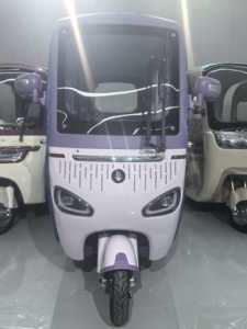 Auto Elettrica a 3 Ruote Chiusa per Consegne con Carico Utile di 400kg, Motore da 1000W, Batteria al Piombo-Acido, Capacità 5 Passeggeri - Product Image 6