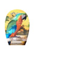 Etiquetas Decorativas Holográficas de Alta Definición, Ecológicas, Impresas en Serigrafía, Resistentes al Agua, con Estampado en Frío, para Envolver Regalos
