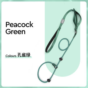 Correa para Perros de Estilo Nuevo, Cadena Tipo P, Correa Deslizante para Exhibición de Perros, Fabricante de Correas - Product Image 6