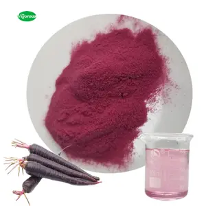 Concentrated Extract Water Soluble Black Carrot Juice Powder