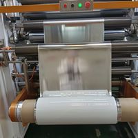Machine de plastification compacte électrique automatique pour films souples, sans solvant, pour sacs alimentaires et emballages en plastique et en bois