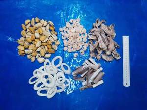 Surtido de mariscos <span class=keywords><strong>congelados</strong></span> al por mayor que incluye tentáculo de calamar y carne de mejillón Surimi palitos envasados a granel - Product Image 2