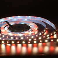 Cinta LED Inteligente para el Hogar, Alta Calidad, RGB CCT RGBW RGBWW, 3000K 6000K, Blanco Cálido, Impermeable, DC 12V 24V, Tiras de Luz LED RGB CCT