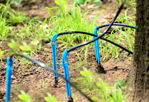 Kits d'irrigation automatiques écologiques en plastique de 16 mm de diamètre pour jardin, émetteurs goutte-à-goutte coudés à 4 voies en forme de flèche pour pots de fleurs - Product Image 6