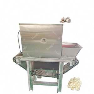 Machine à éplucher l'ail frais vente en gros - Product Image 5