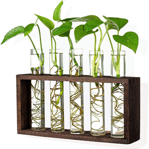 Hot Glass Planter Propagation Station Desktop Plant Terrarium With Wooden Stand Test Tube <b>Flower</b> Bud Vase for Office <b>Decor</b> - Product Image 1
