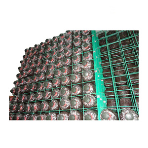 Oyster/shiitake/lions Mane Mushroom Growing Shelves Customizable Sizes Available Mushroom <b>Cultivation</b> Grid Rack - Product Image 1