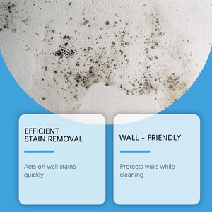 <span class=keywords><strong>Spray</strong></span> detergente <span class=keywords><strong>antimuffa</strong></span> per pareti bianche e fughe di piastrelle, rimuove macchie e funghi. - Product Image 2