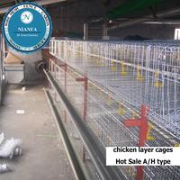 Cages à batterie pour cailles et oiseaux, cages de haute qualité pour poules pondeuses (Usine de Guangzhou)